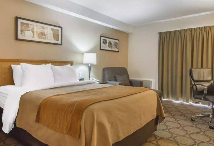 호텔 Comfort Inn Magnetic Hill