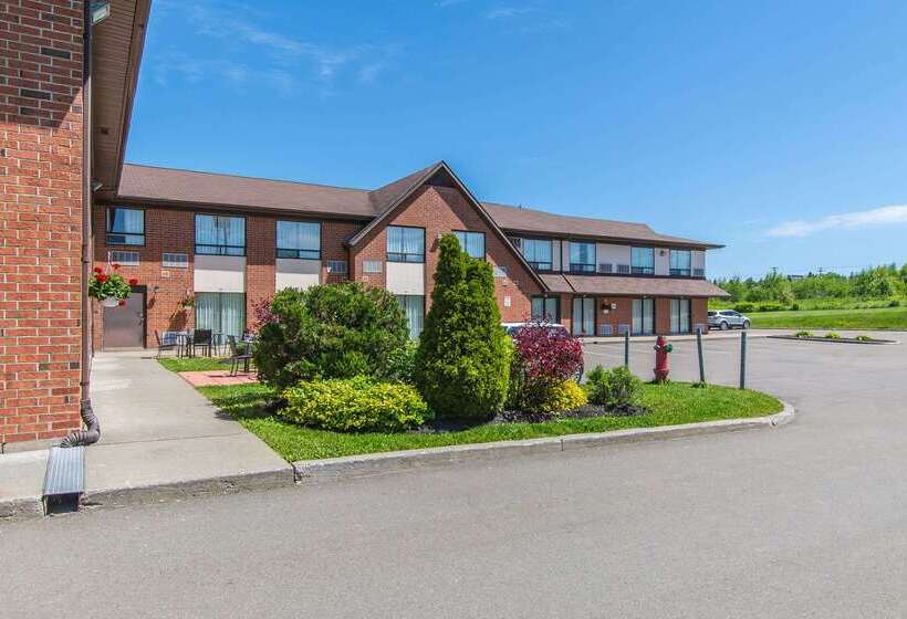 호텔 Comfort Inn Magnetic Hill