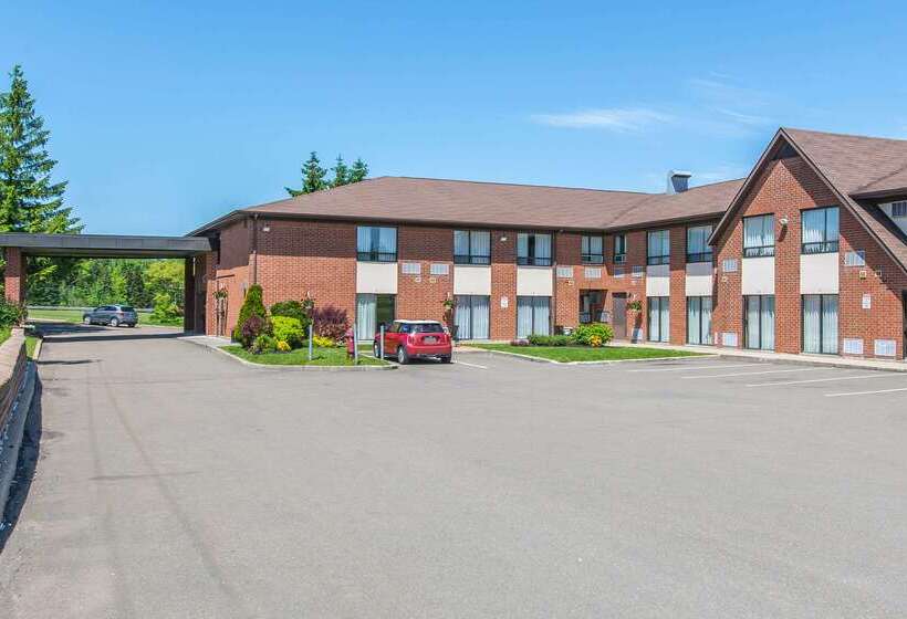 호텔 Comfort Inn Magnetic Hill