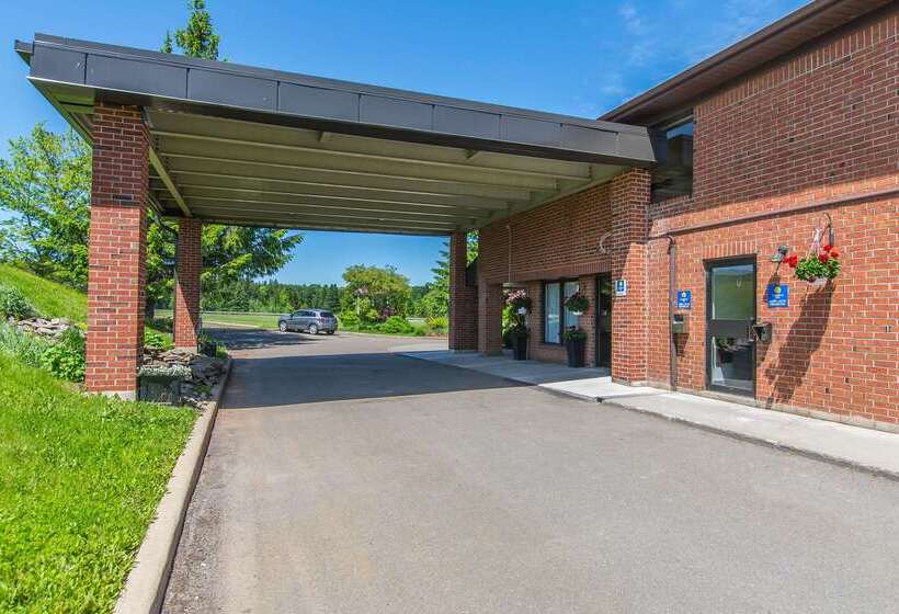 호텔 Comfort Inn Magnetic Hill