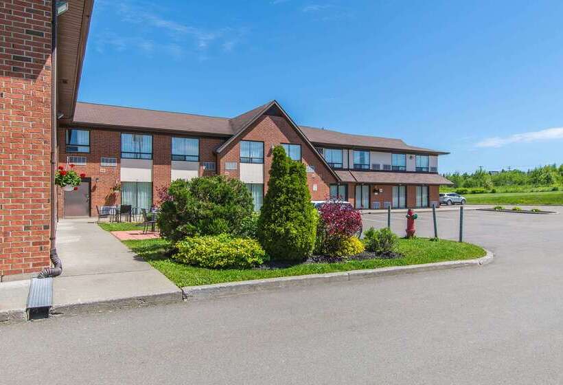 호텔 Comfort Inn Magnetic Hill