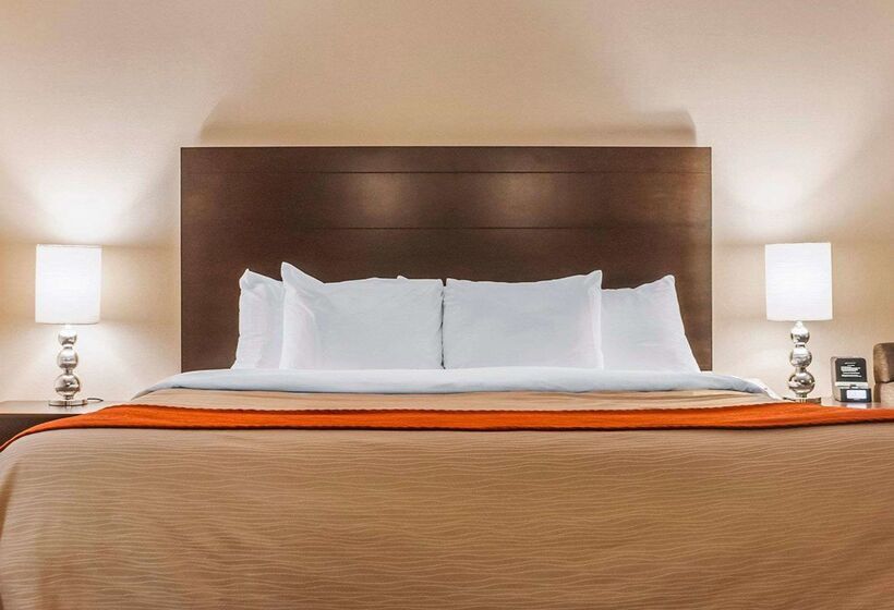 فندق Comfort Inn