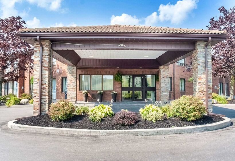 فندق Comfort Inn