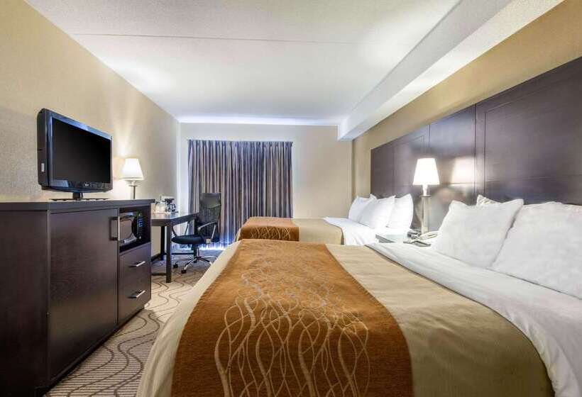 فندق Comfort Inn