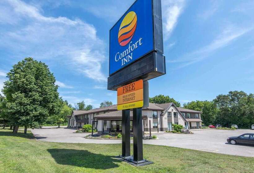 فندق Comfort Inn