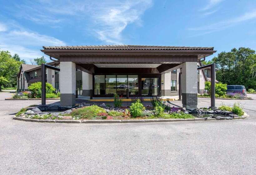 فندق Comfort Inn