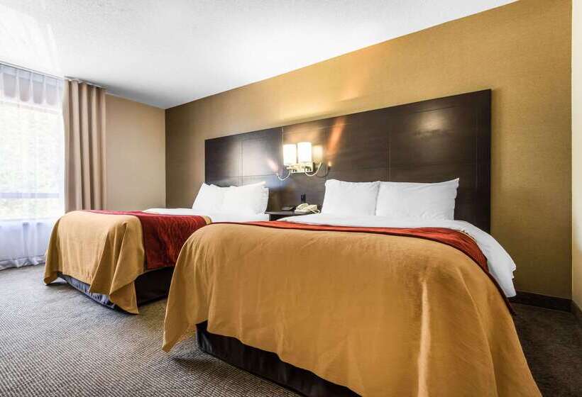 בית מלון כפרי Comfort Inn