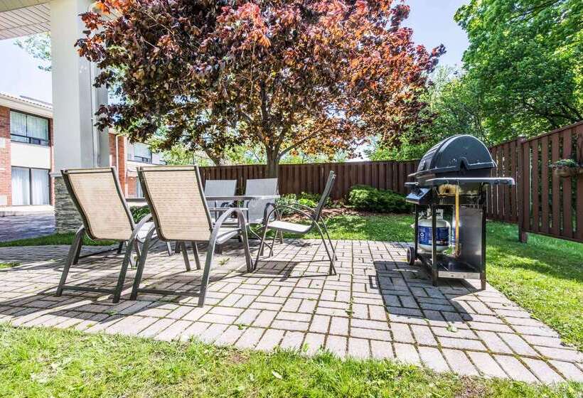 בית מלון כפרי Comfort Inn