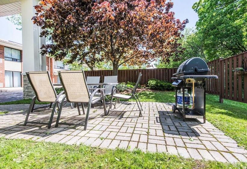 בית מלון כפרי Comfort Inn