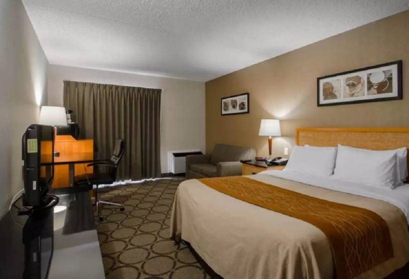 בית מלון כפרי Comfort Inn