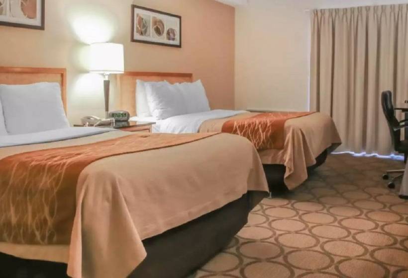 בית מלון כפרי Comfort Inn