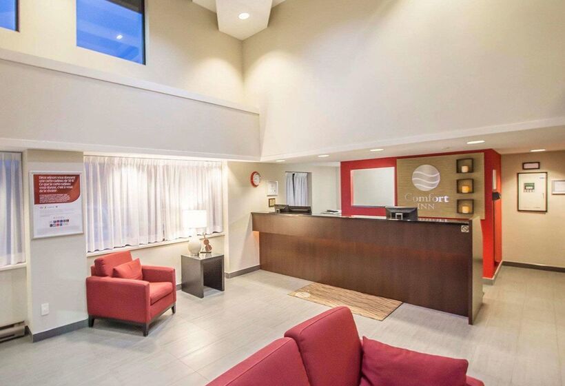 فندق Comfort Inn