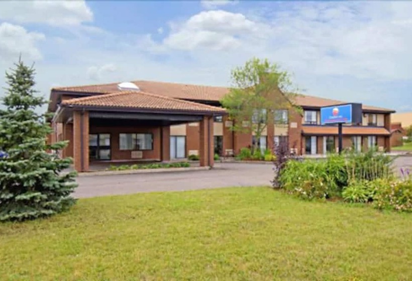 فندق Comfort Inn