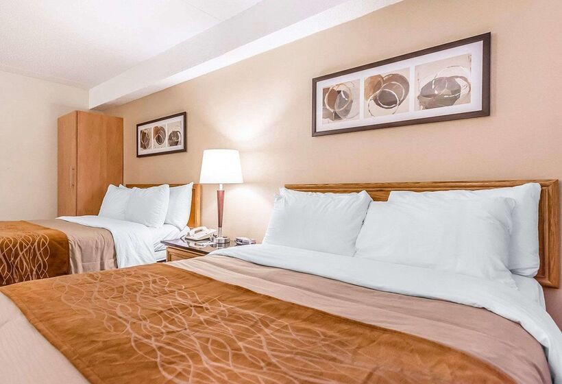 בית מלון כפרי Comfort Inn Riviereduloup