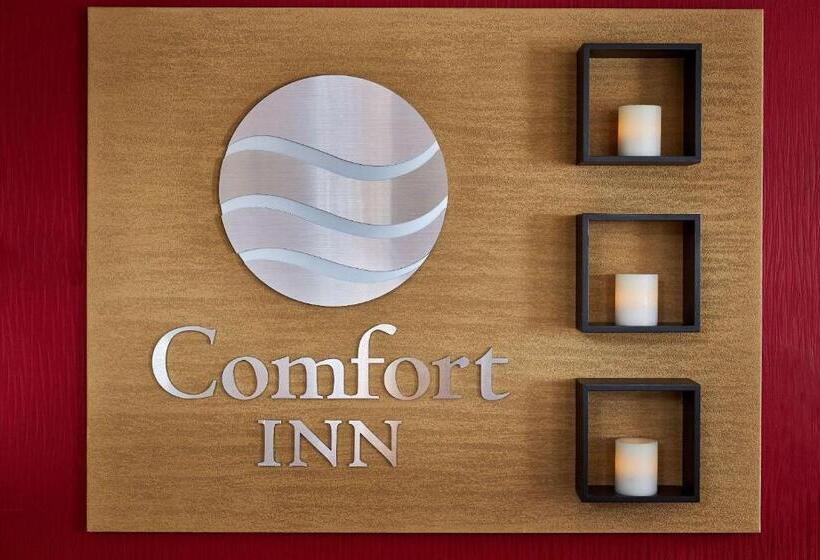 בית מלון כפרי Comfort Inn