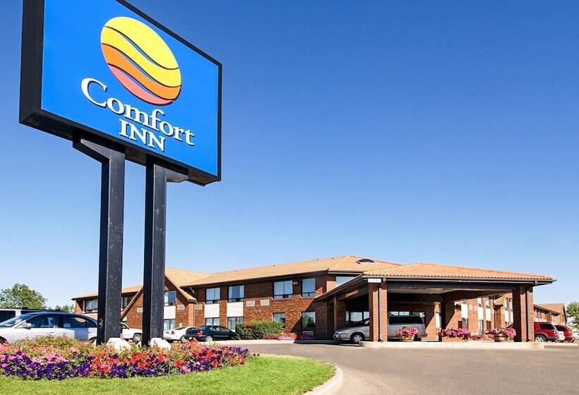 酒店 Comfort Inn