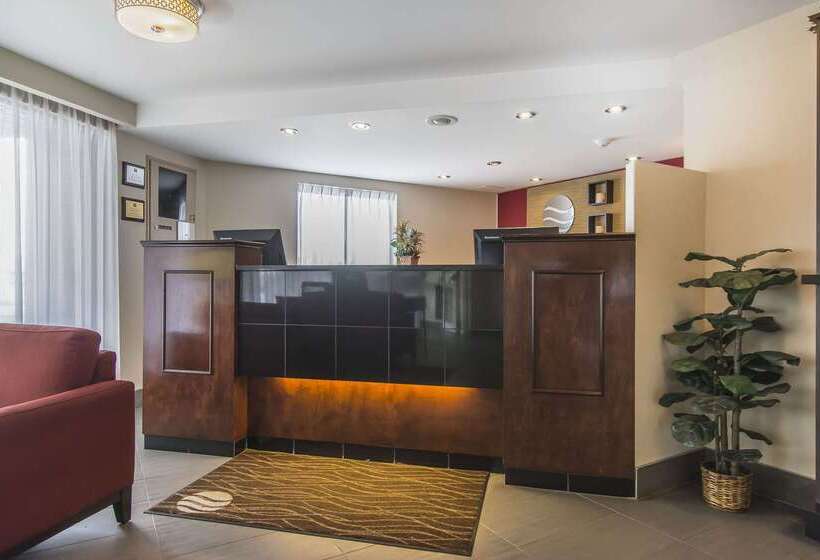 فندق Comfort Inn