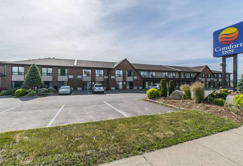 فندق Comfort Inn