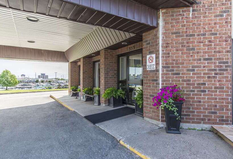 فندق Comfort Inn