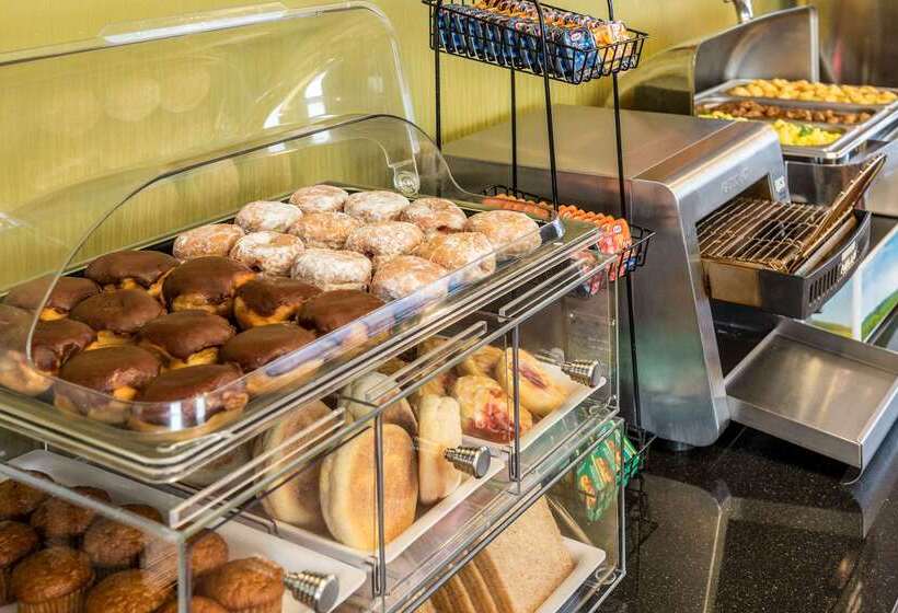 فندق Comfort Inn South