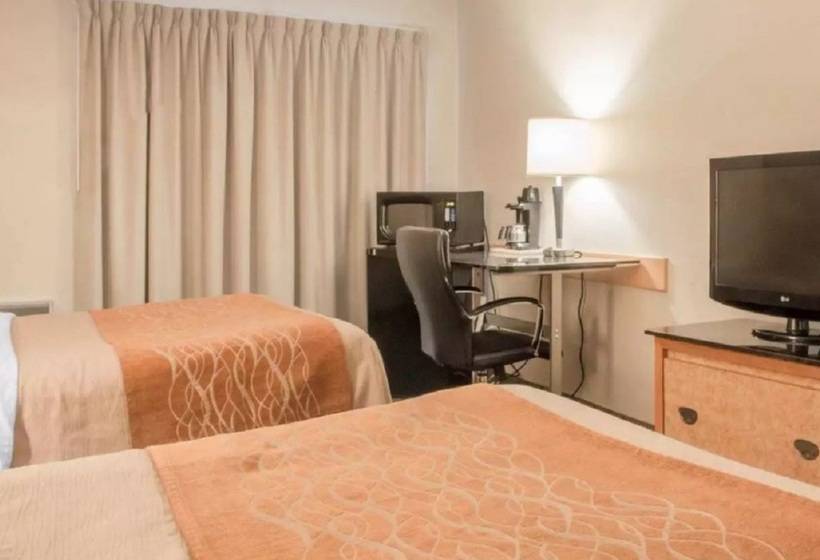 فندق Comfort Inn South