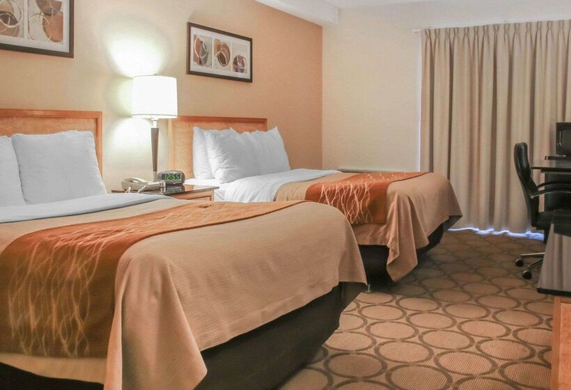 فندق Comfort Inn South