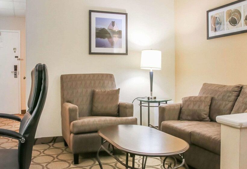 فندق Comfort Inn South