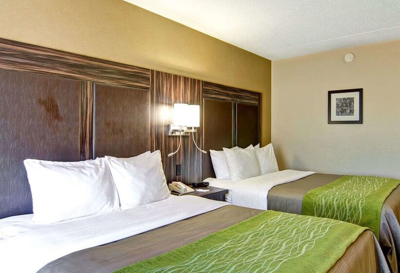 فندق Comfort Inn