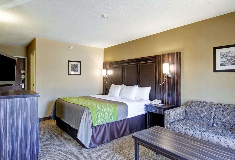 فندق Comfort Inn