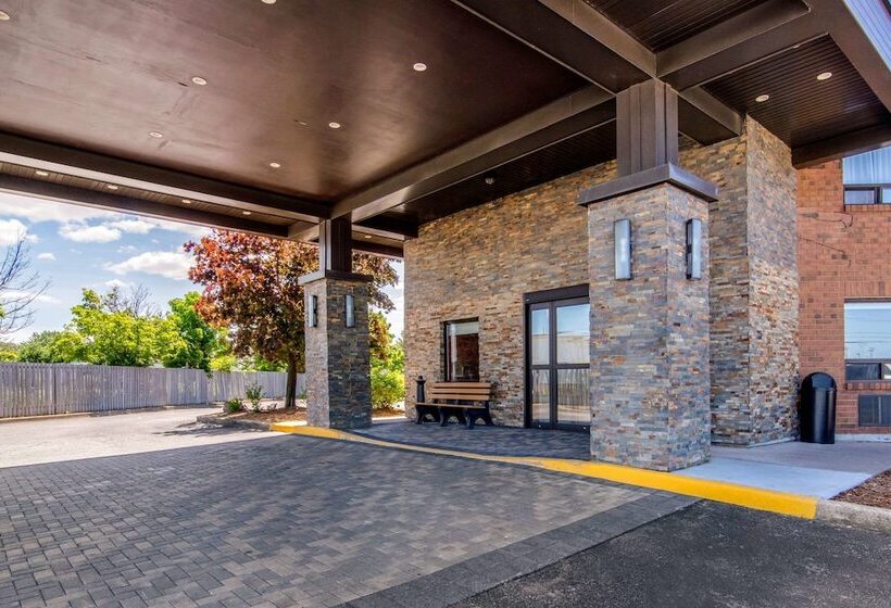 فندق Comfort Inn