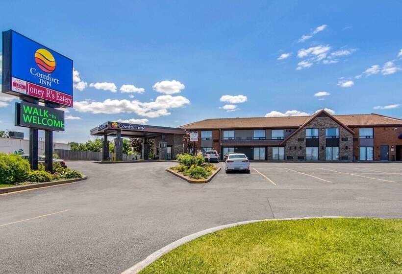 فندق Comfort Inn