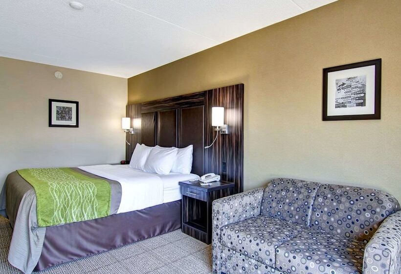 فندق Comfort Inn