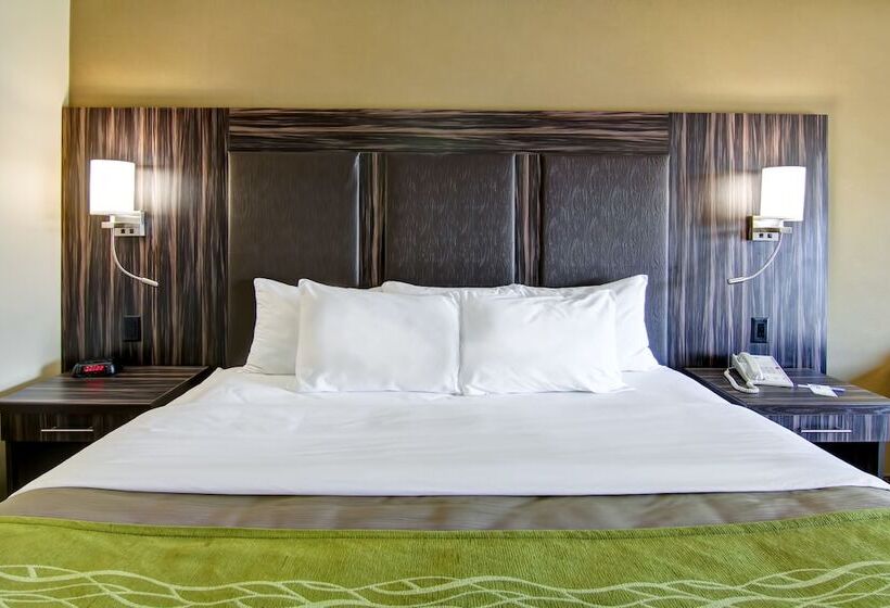 فندق Comfort Inn