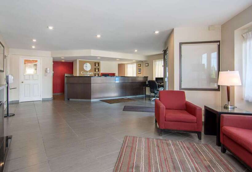 فندق Comfort Inn