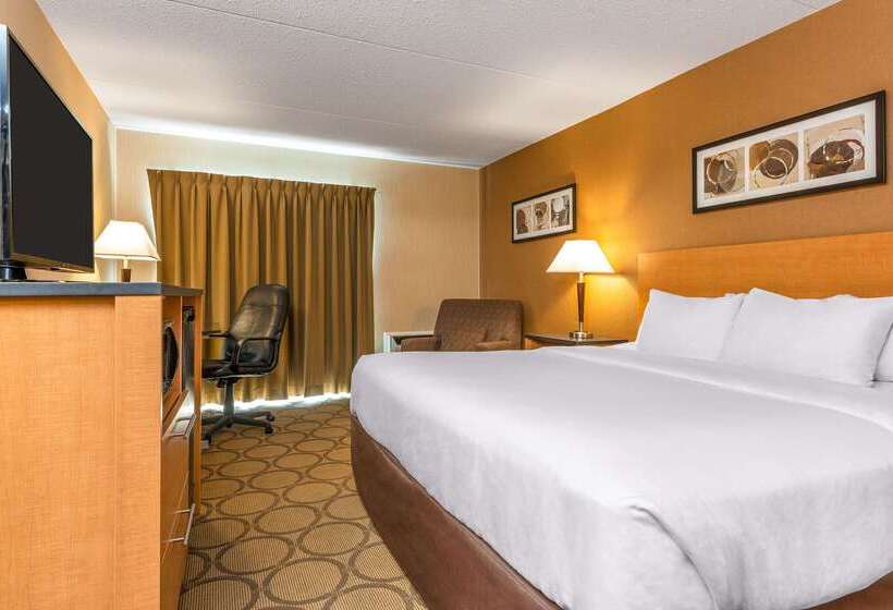 فندق Comfort Inn