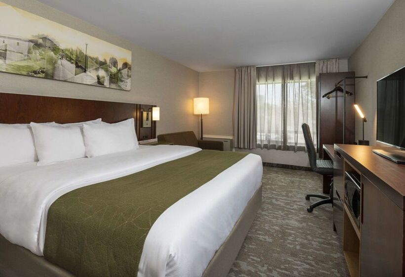 فندق Comfort Inn