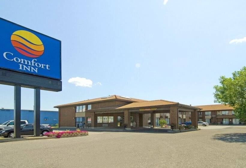 فندق Comfort Inn