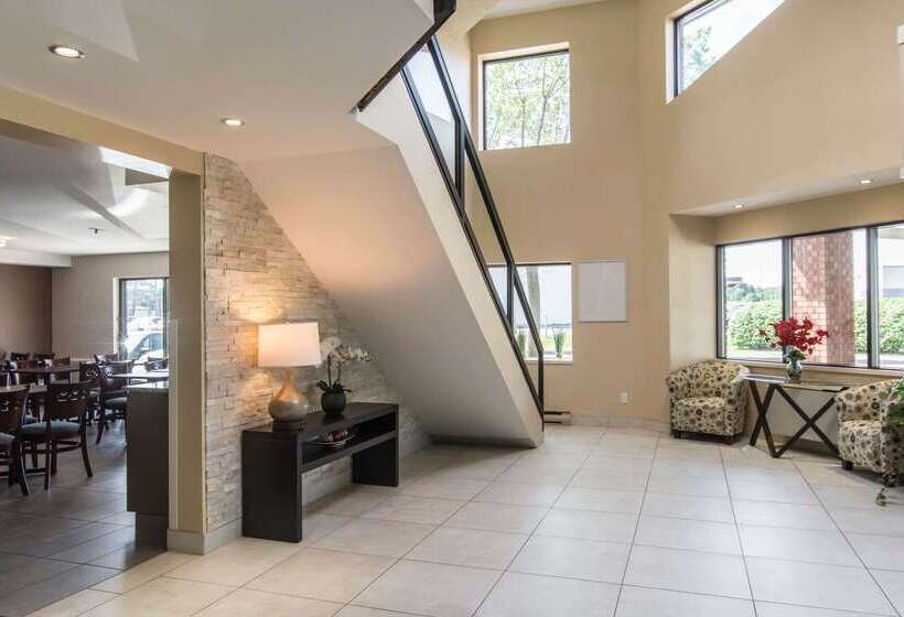 ホテル Comfort Inn