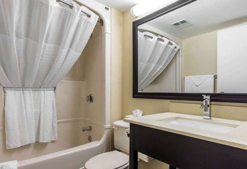 ホテル Comfort Inn