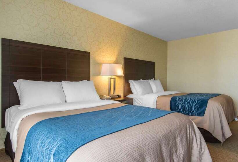 ホテル Comfort Inn