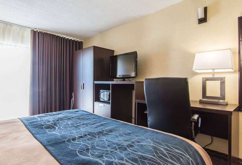 ホテル Comfort Inn