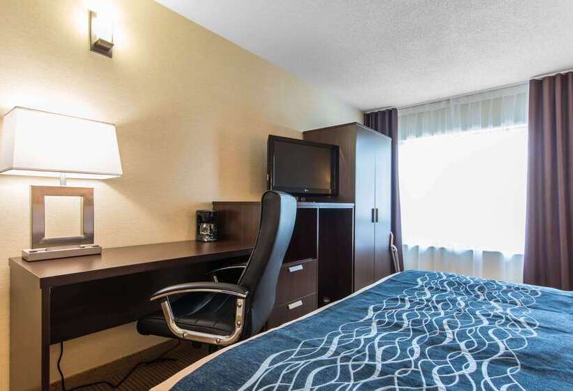 ホテル Comfort Inn