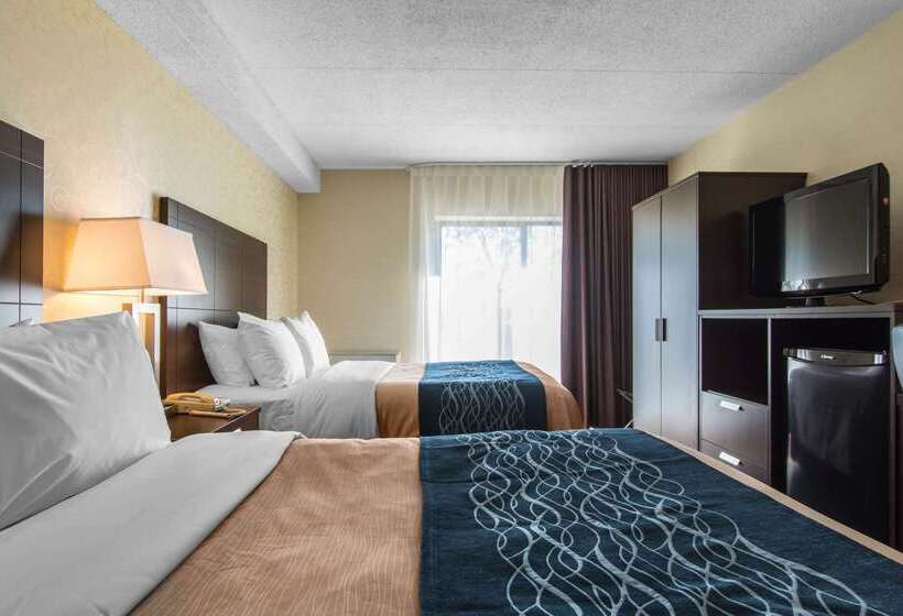 ホテル Comfort Inn