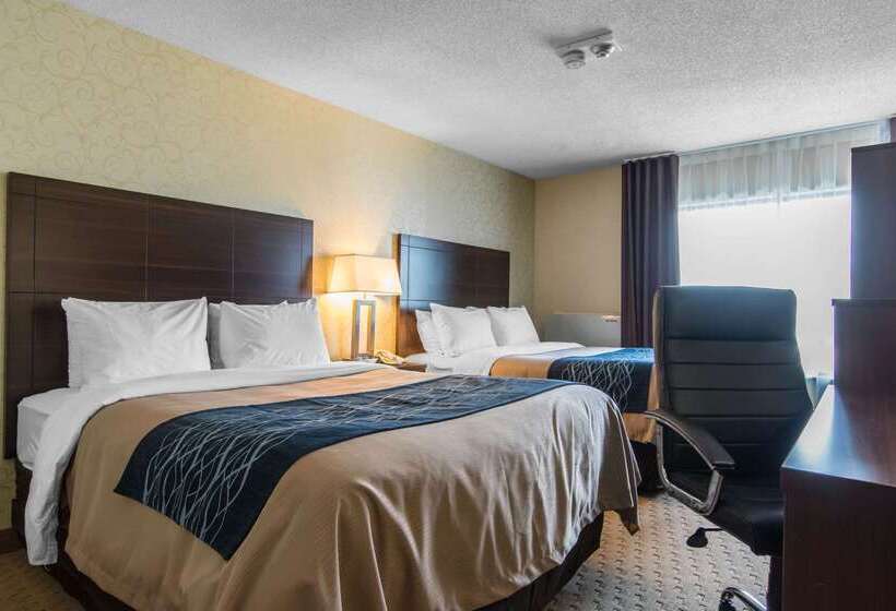 ホテル Comfort Inn