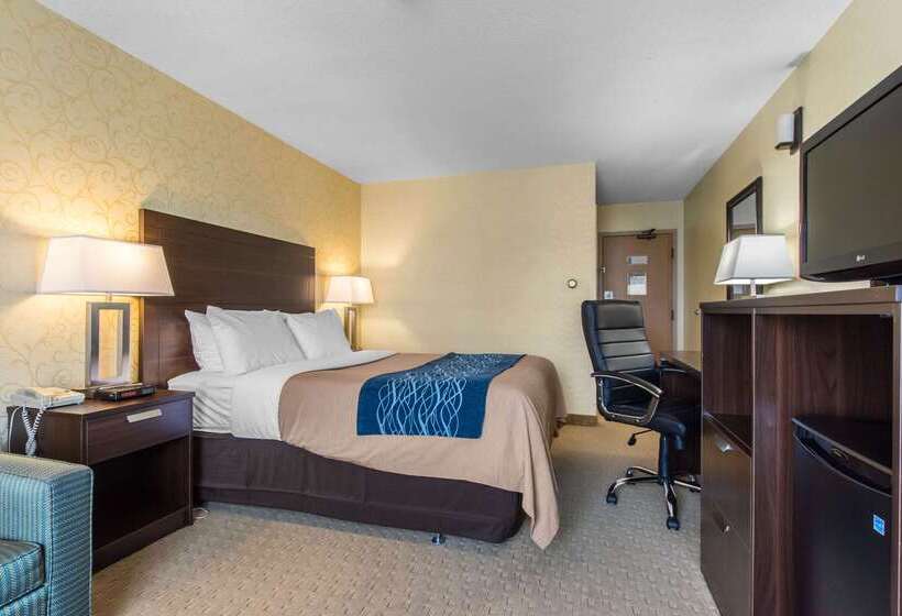 ホテル Comfort Inn