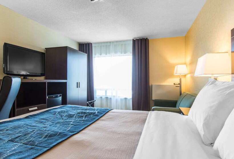 ホテル Comfort Inn