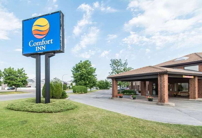 ホテル Comfort Inn