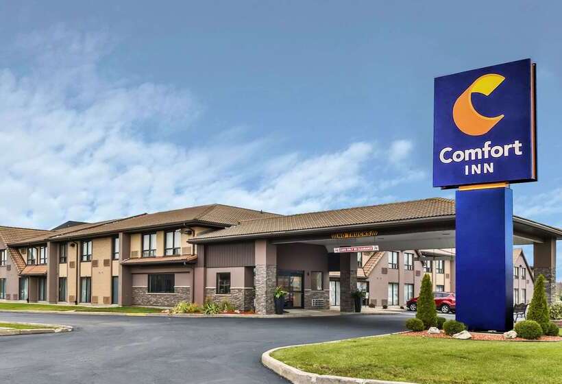 ホテル Comfort Inn