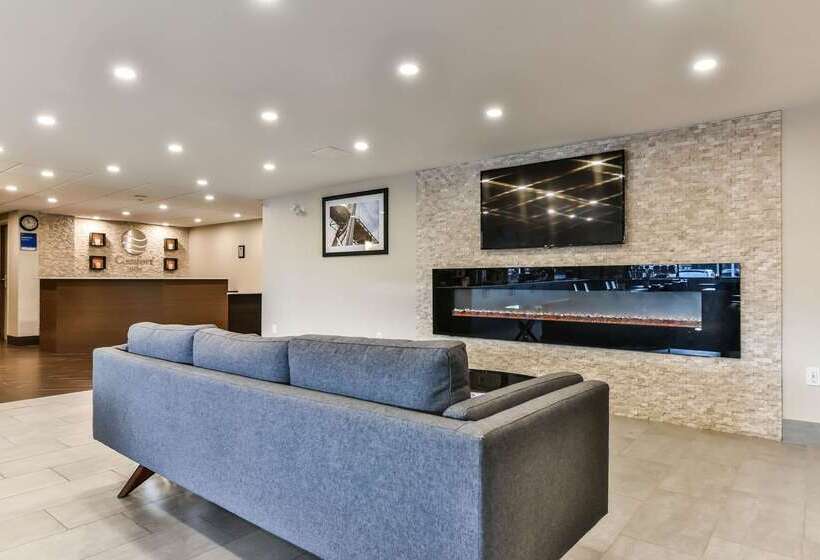 ホテル Comfort Inn