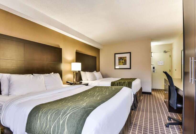 ホテル Comfort Inn